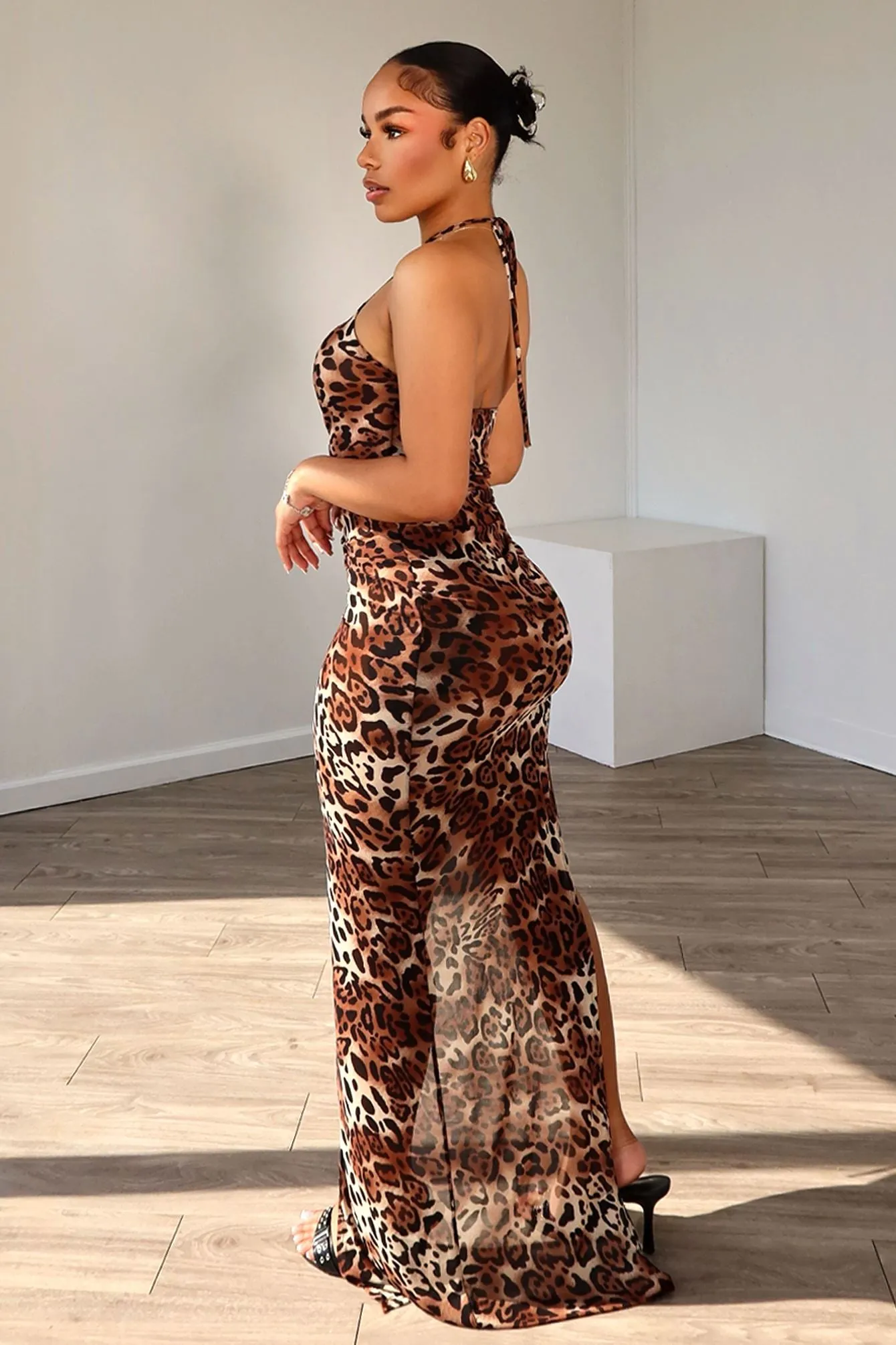 Crave You Print Mesh Maxi Dress